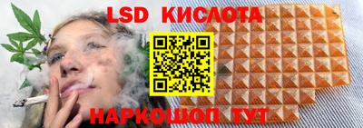 шишки Волжский