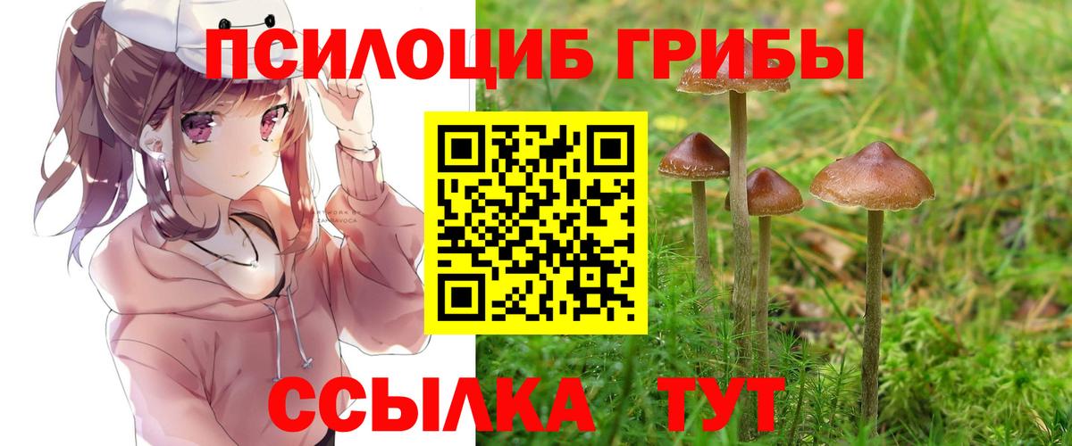 Псилоцибиновые грибы Cubensis  Вход с VPN  Нововоронеж 